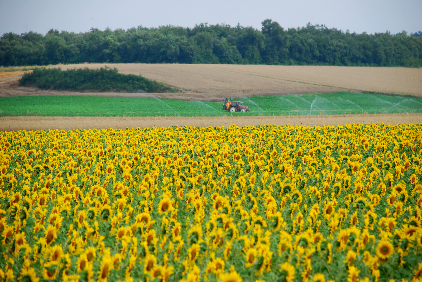 via verde vasconavarro